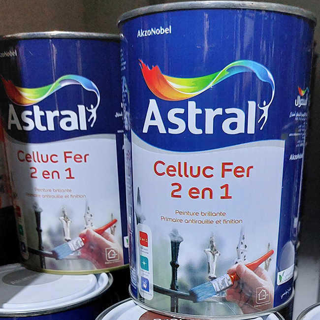 BOITE P CELLUC BLANC 2 EN 1 1 KG ASTRAL