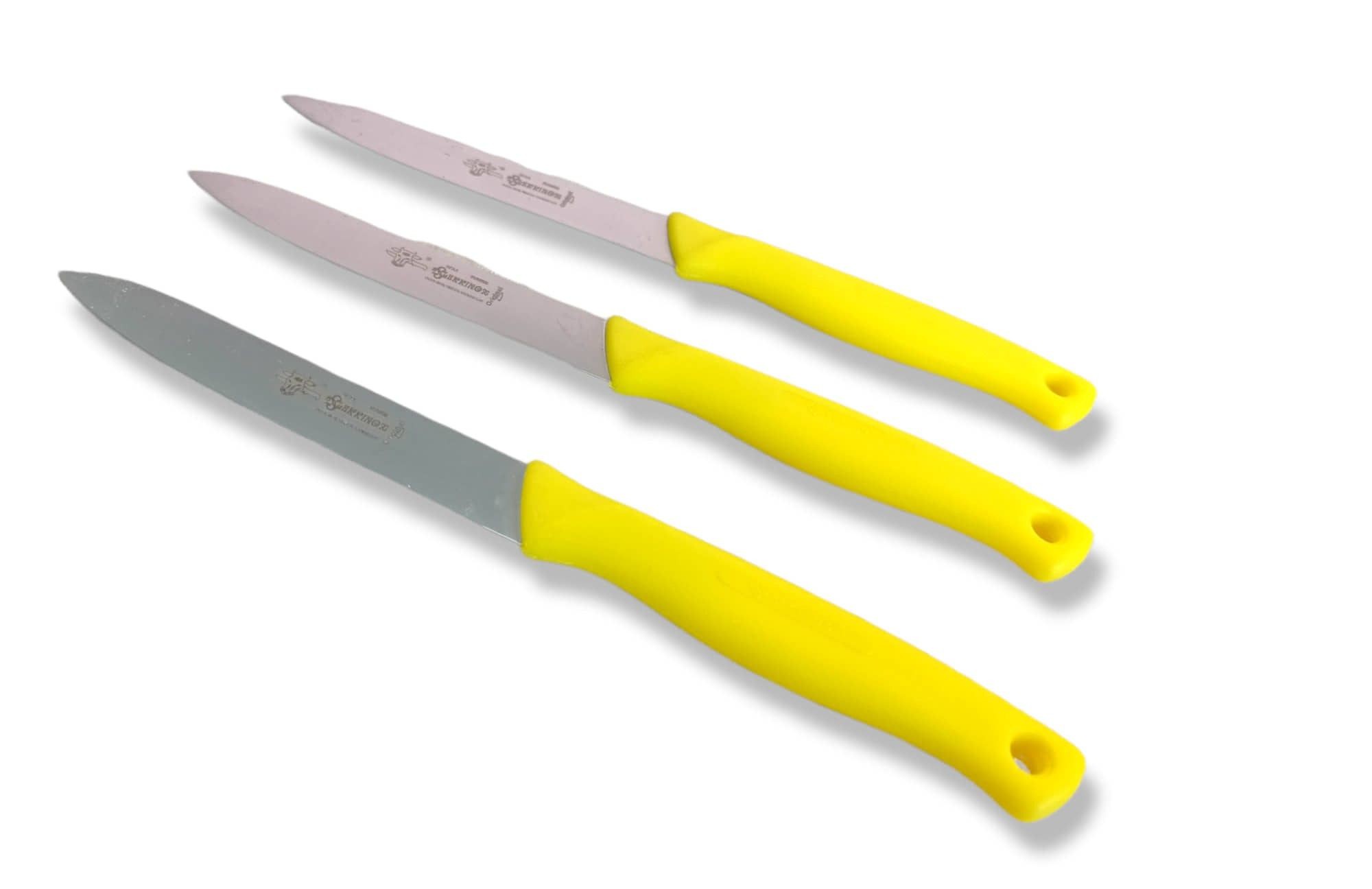 LOT DE 3 COUTEAUX DE CUISINE 21CM SEKKINOX