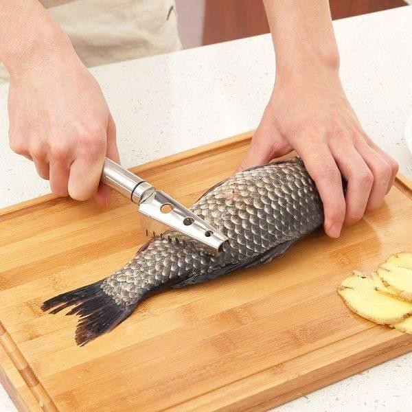 ECAILLEUR À POISSON EN INOX 20CM FACKELMANN