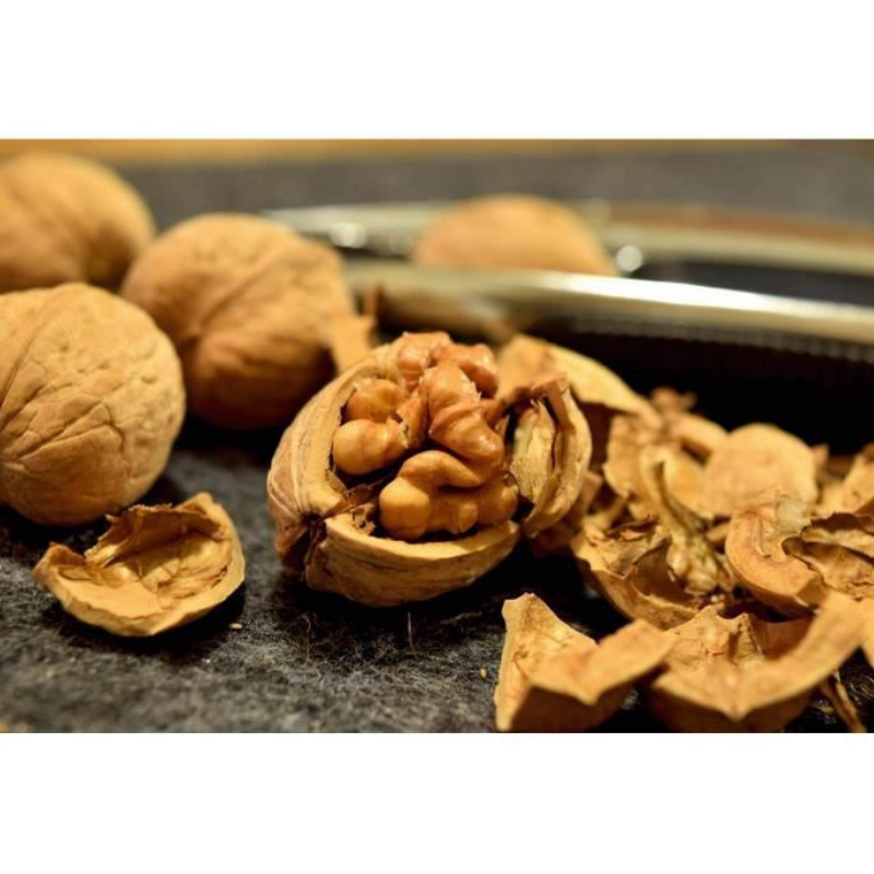 CASSE NOIX FACKELMANN