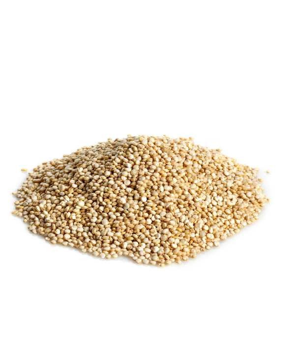 Quinoa blanc