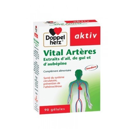 AKTIV VITAL ARTERES  90 Gélules